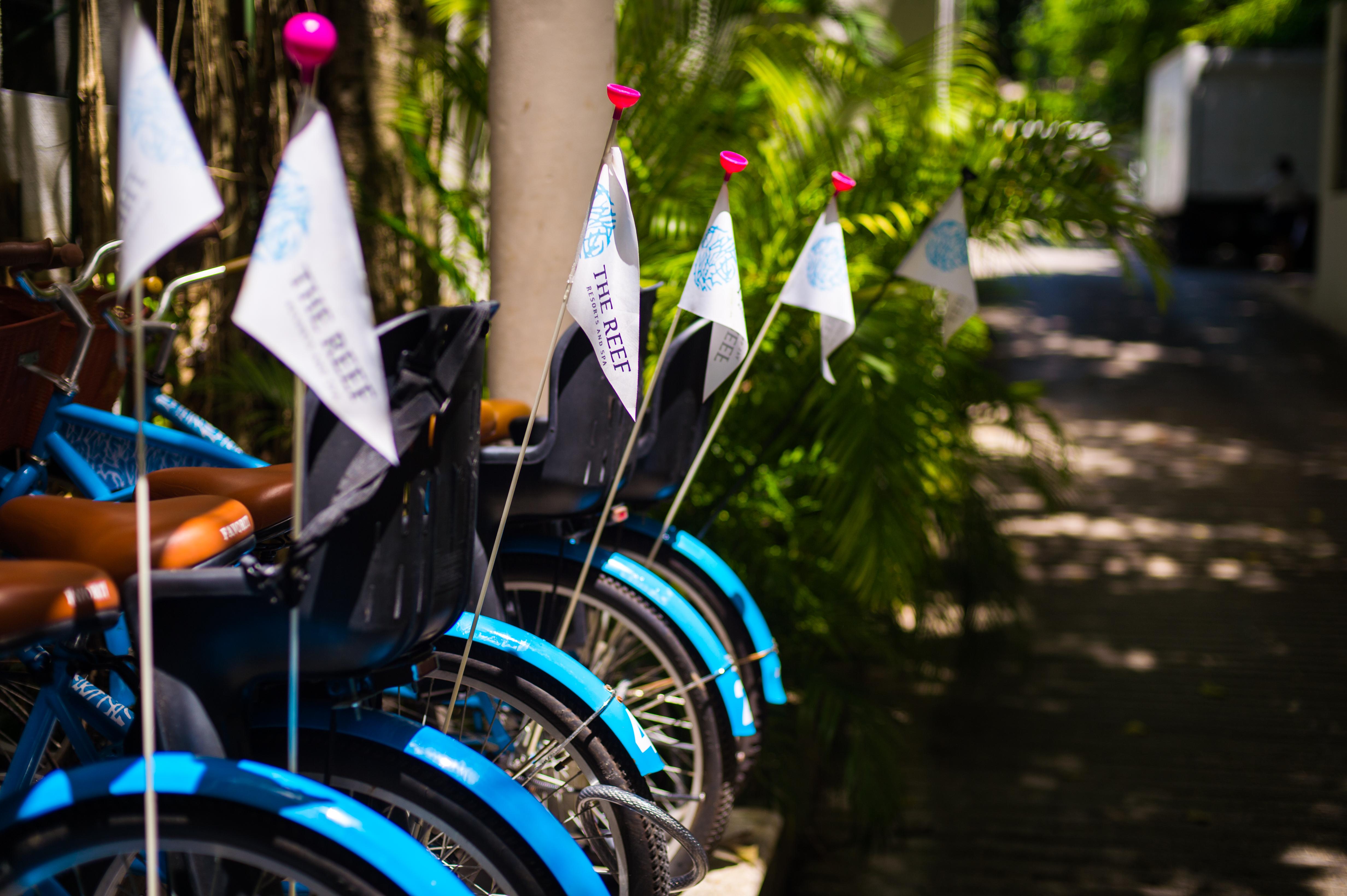 The Reef Playacar Beach Resort & Spa Playa del Carmen Exterior photo